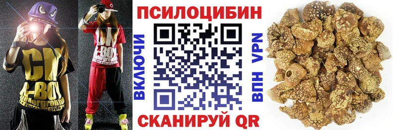 площадка Telegram  Кондопога  Псилоцибиновые грибы GOLDEN TEACHER 