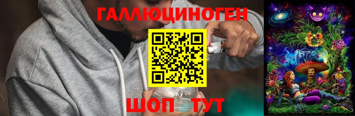 Галлюциногенные грибы Psilocybine cubensis Кондопога